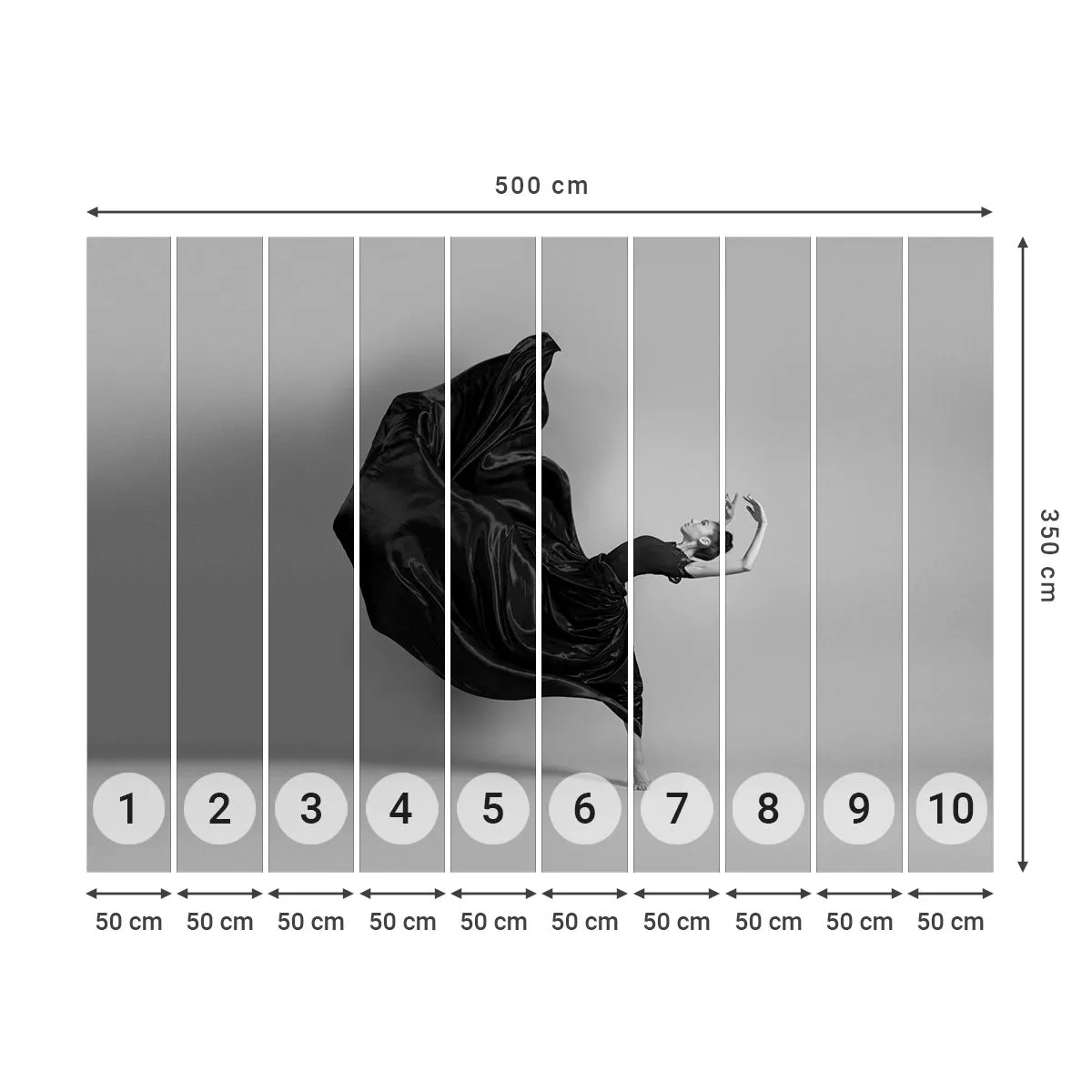 Photo Wallpaper Standard Eco - On the Wings of Music - Dance, Woman, Dancer - 500x350 cm