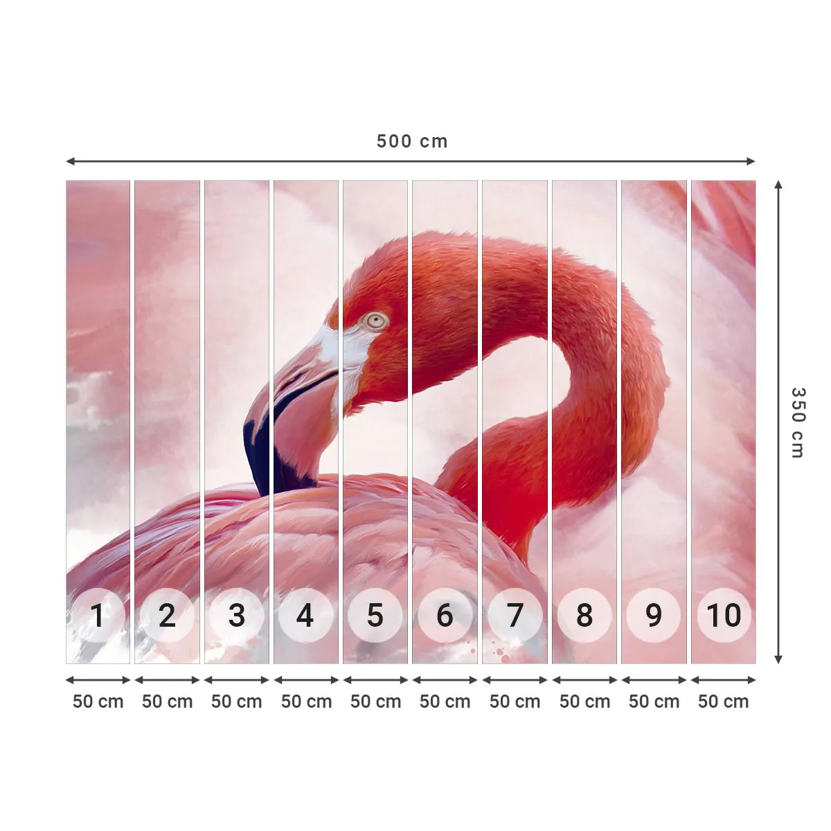 Fotótapéta Premium Canvas - Madári szépség - Flamingó, Madár, Természet - 500x350 cm