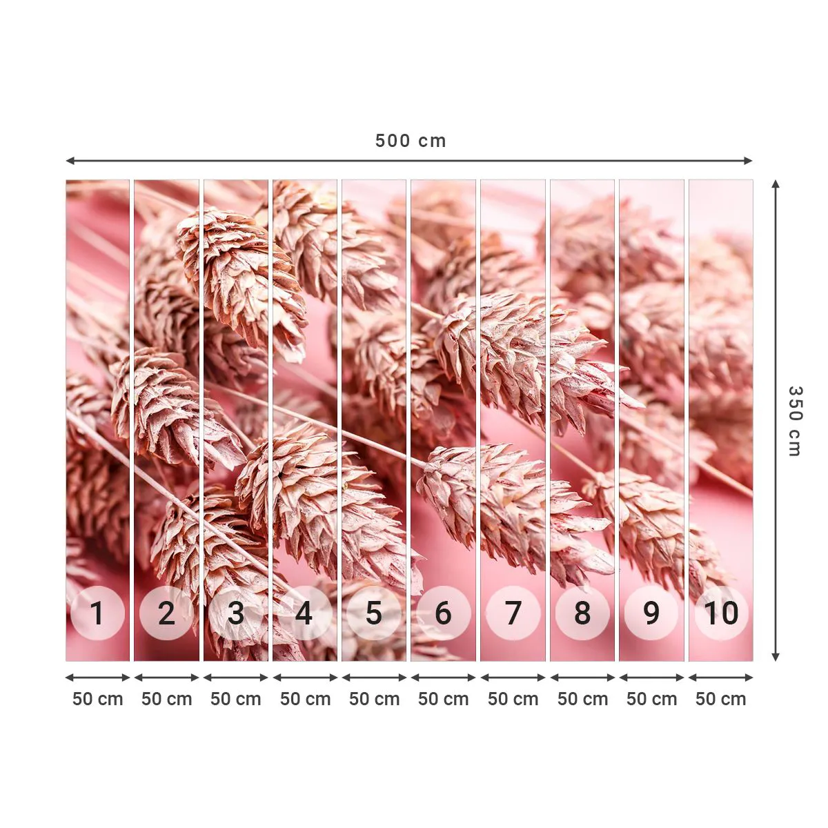 Fototapeta Premium Sand - Kwietna kaskada w różu - Suszone Kwiaty, Bukiet Kwiatów, Kwiaty - 500x350 cm