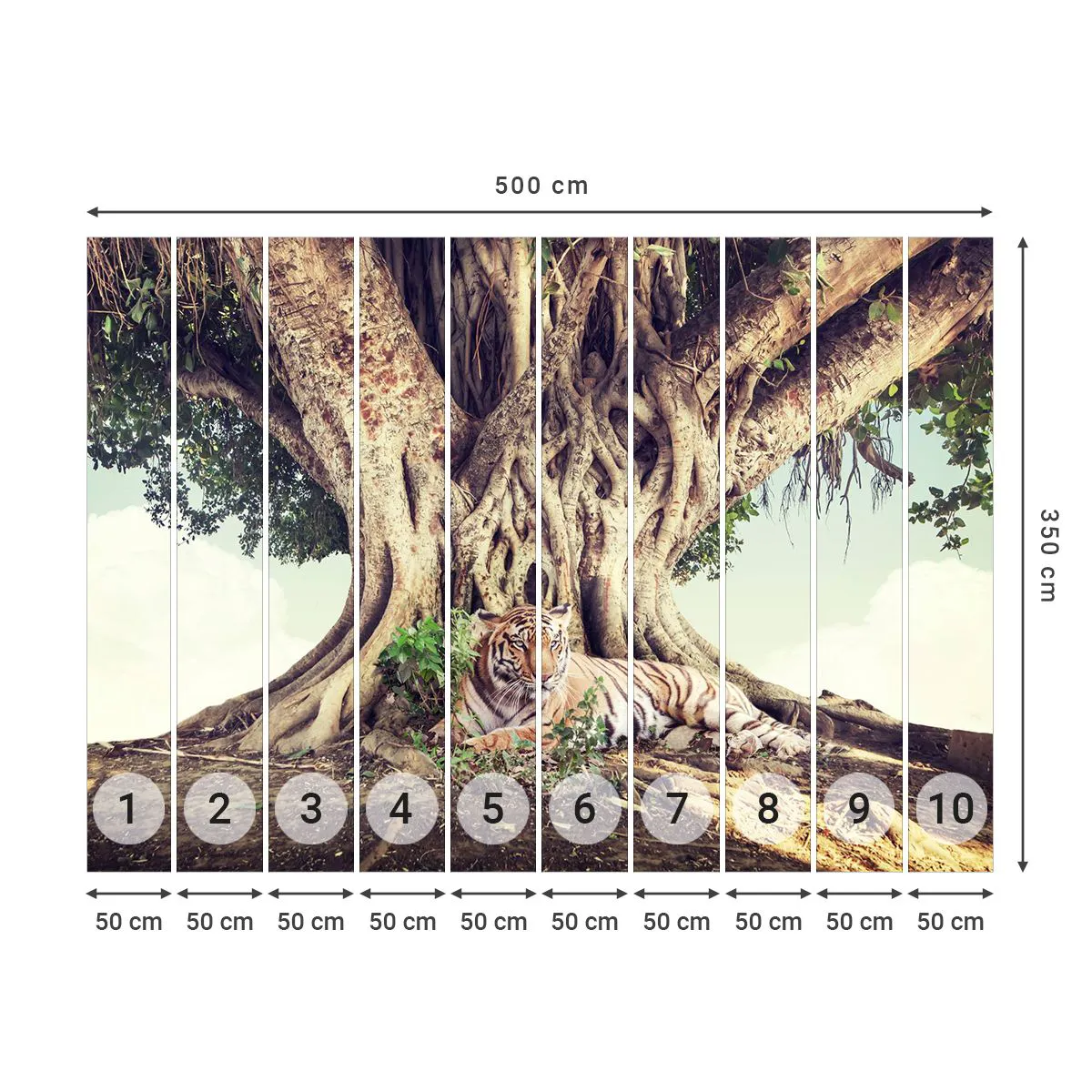 Photo Wallpaper Standard Eco - View from the Genesis - Bengal tiger, India, Landscape - 500x350 cm