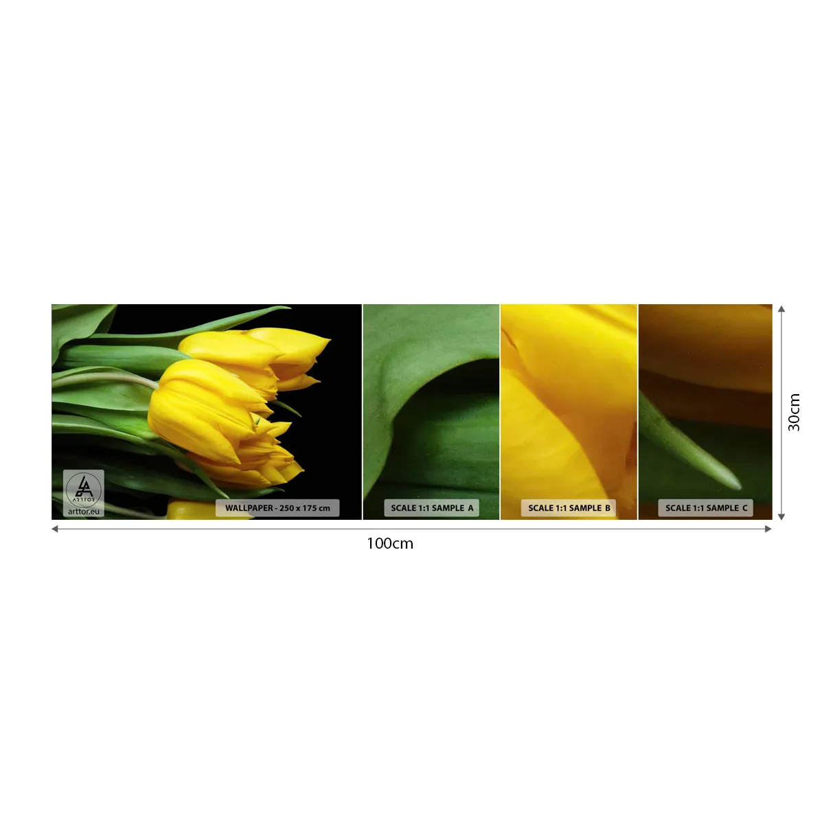 Photo Wallpaper Sample Standard Eco - Born from the Sun - Flowers, Tulips, Bouquet of flowers - 100x30 cm