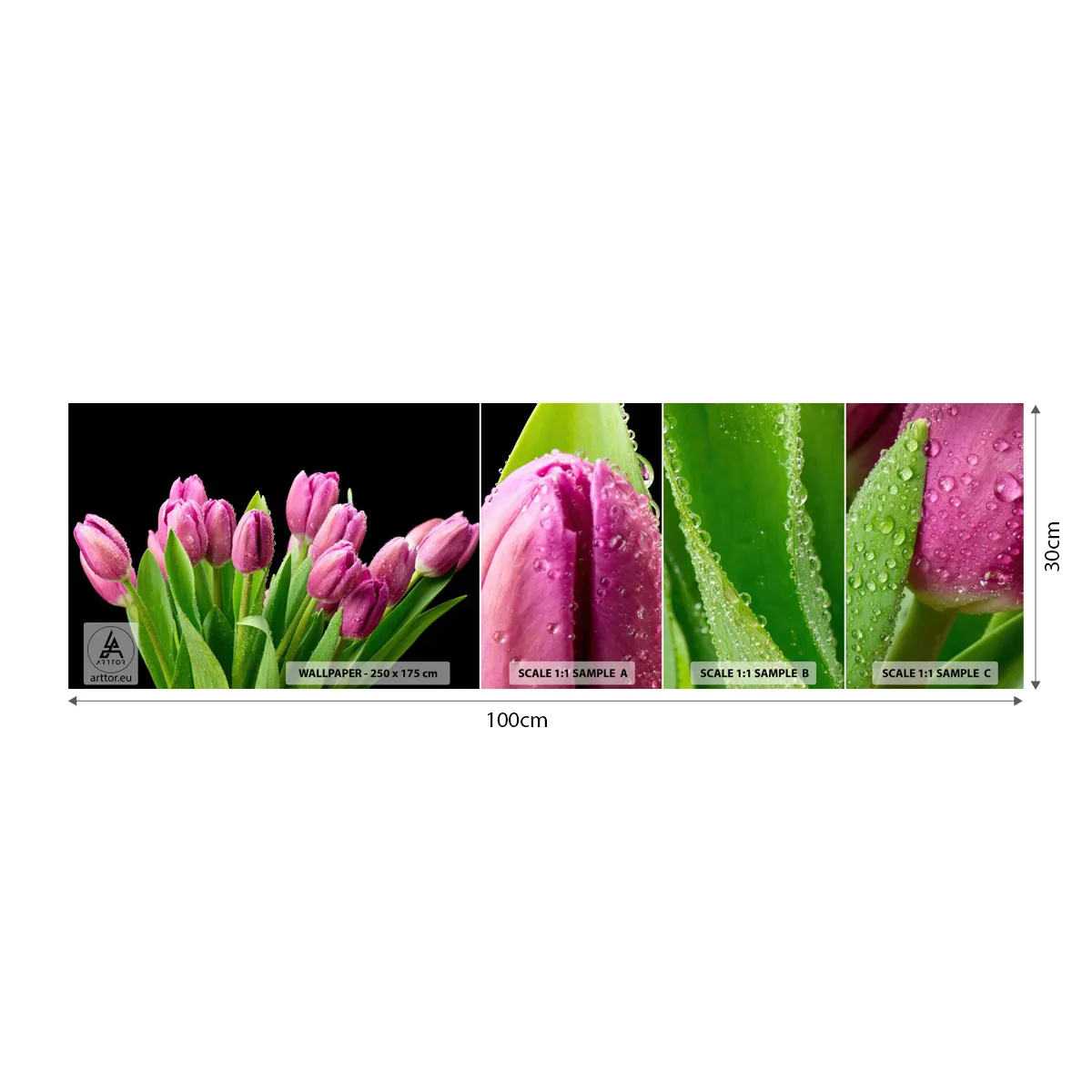 Fototapeta Vzorek Standard Eco - Liliové potěšení jara - Květiny, tulipány, Kytice květin - 100x30 cm