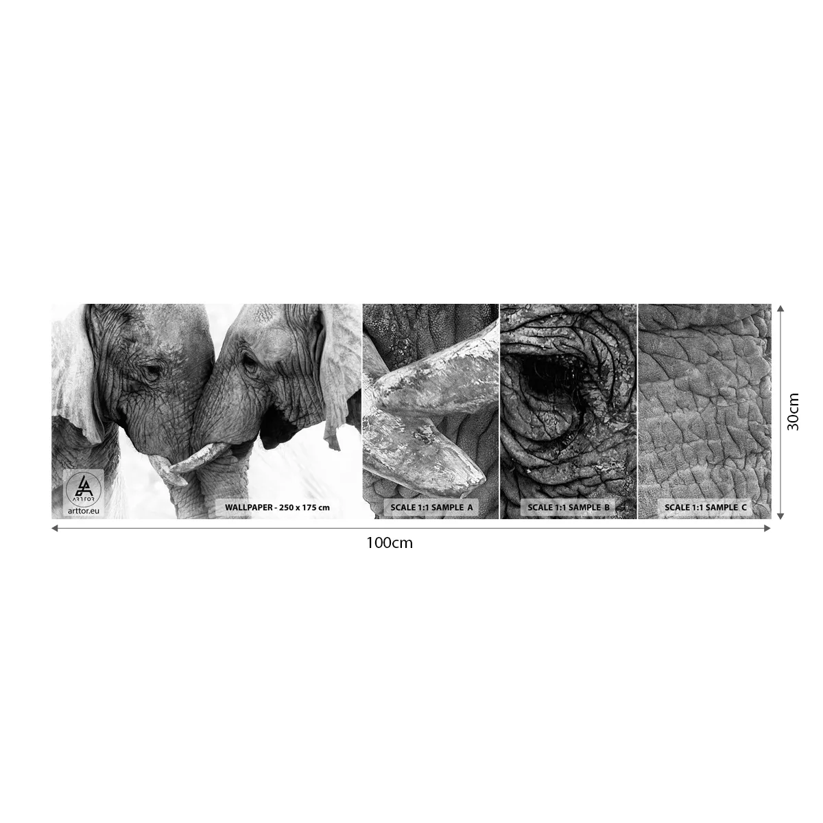 Muestra De Fotomural Standard Eco - Una confesión sincera - Elefante, animales, África - 100x30 cm