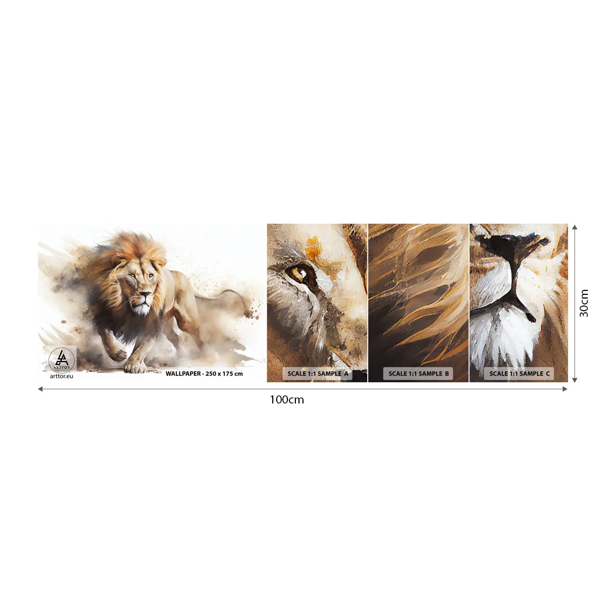 Fototapeta Próbka Standard Eco - Król ruszył - Lew, Jasny, Zwierzę - 100x30 cm