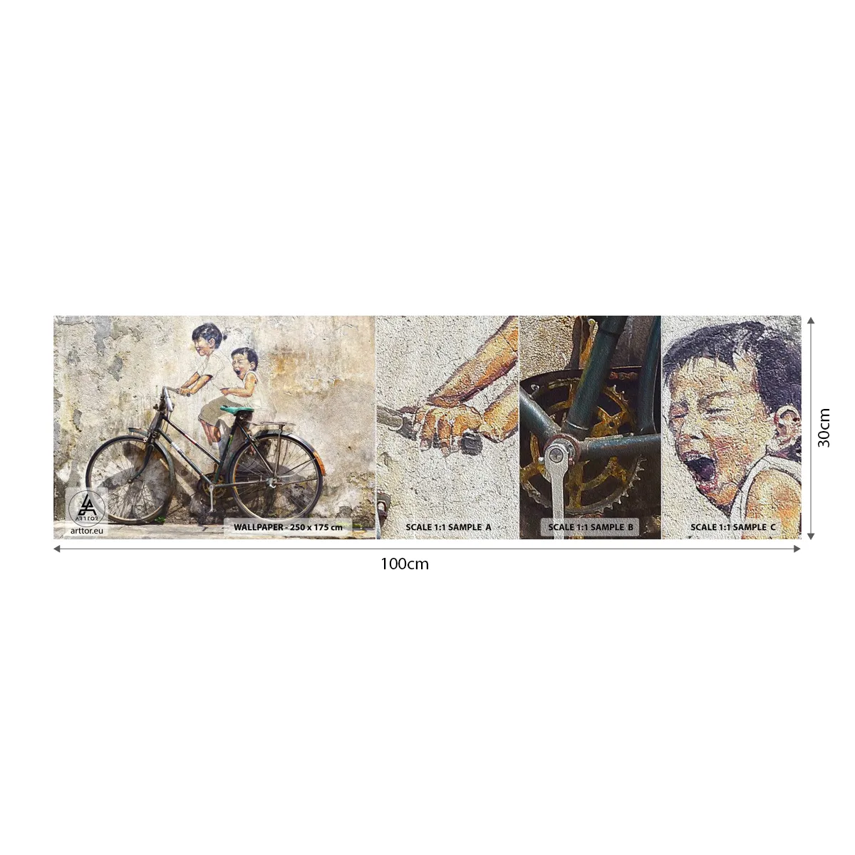 Photo Wallpaper Sample Premium Sand - True or False? - Abstraction, Mural, Bicycle - 100x30 cm