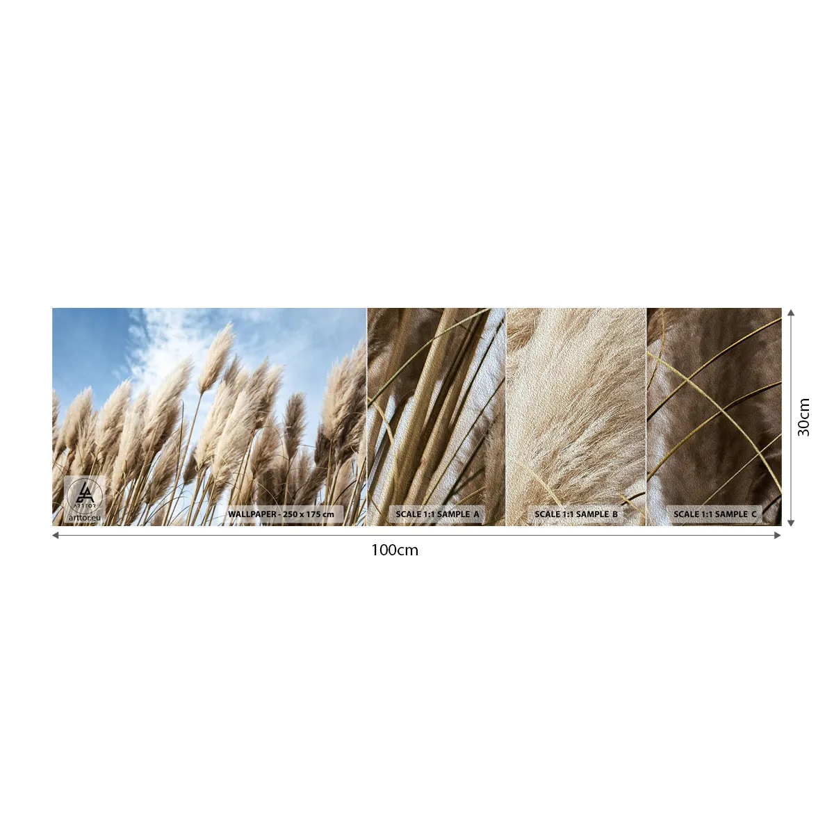Mostră tapet Premium Sand - Mângâiere însorită și vântoasă - Iarbă de pampas, Natură, Boho - 100x30 cm