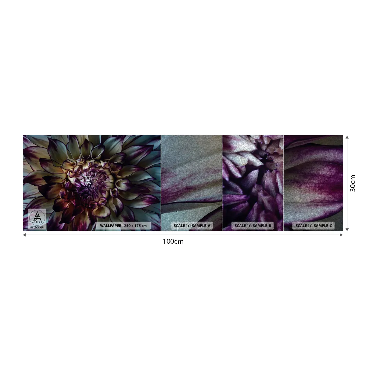 Prøve Fototapet Premium Sand - Ungdommens blomstring - Blomster, Dahlia, blomstrende blomst - 100x30 cm