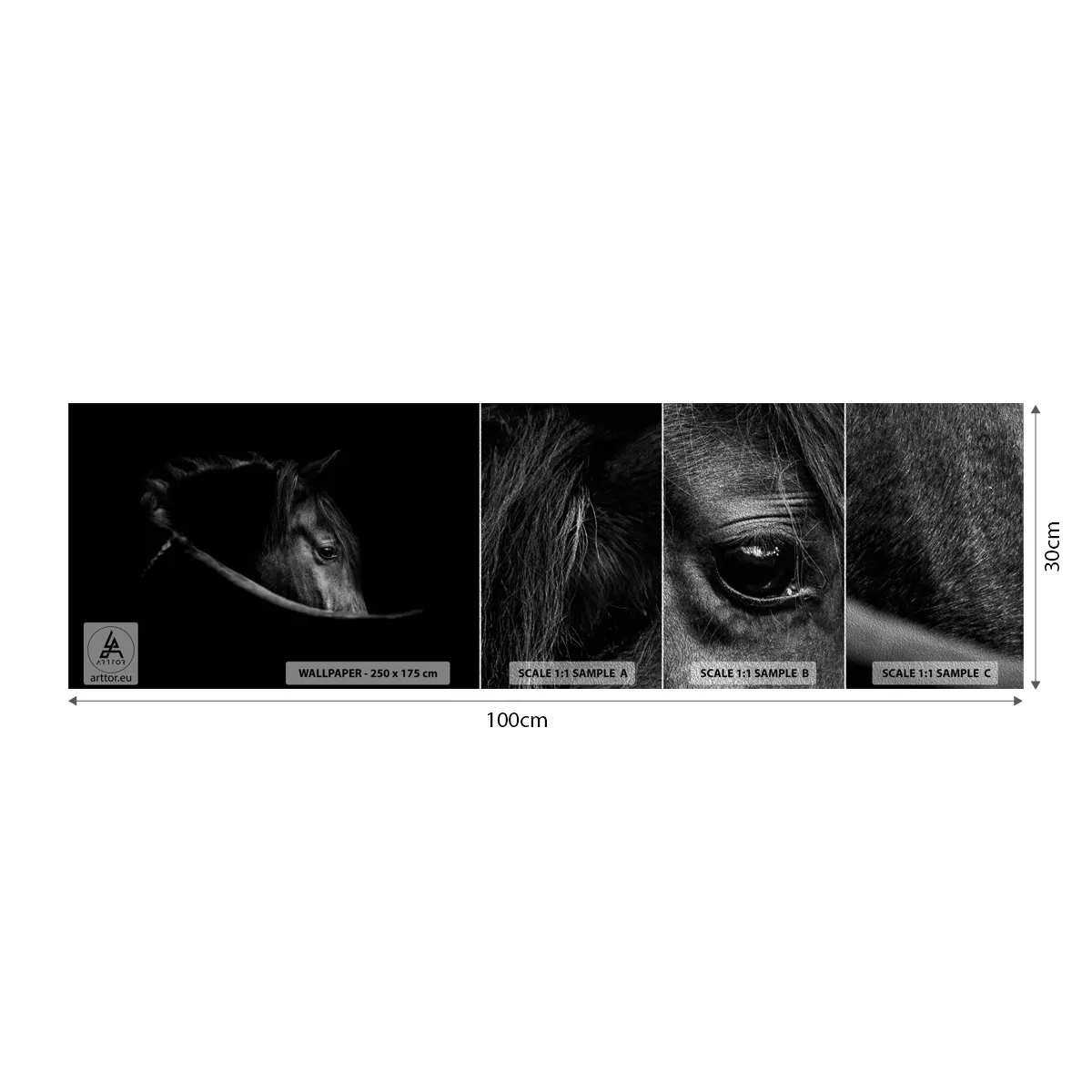 Campione di Fotomurale Premium Sand - Il principe nero - Cavallo, Animale, Artistico - 100x30 cm