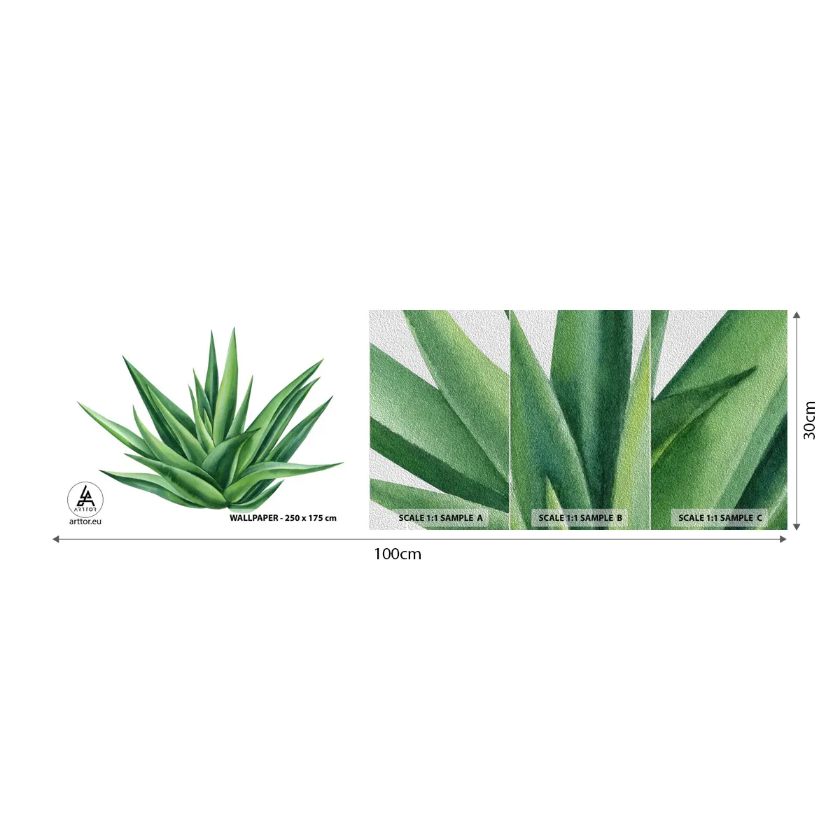 Vzor Fototapety Premium Sand - Zelená – síla – život - Rostlina, Aloe, Botanika - 100x30 cm