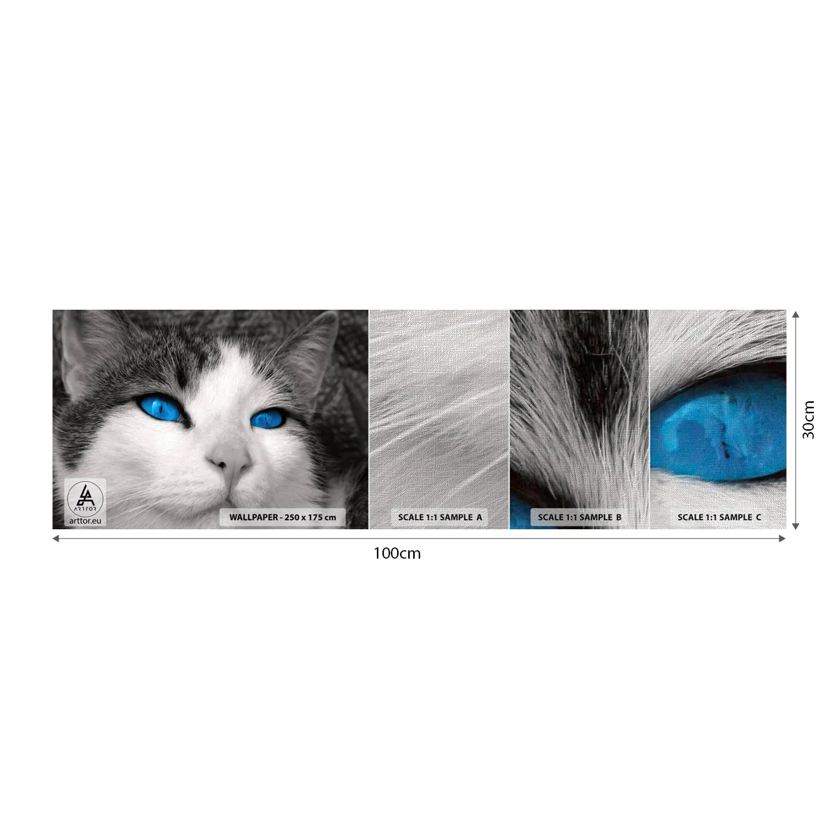 Fototapeten Muster Premium Canvas - Ungewöhnlich blauäugig - Tiere, Katze, Blaue Augen - 100x30 cm
