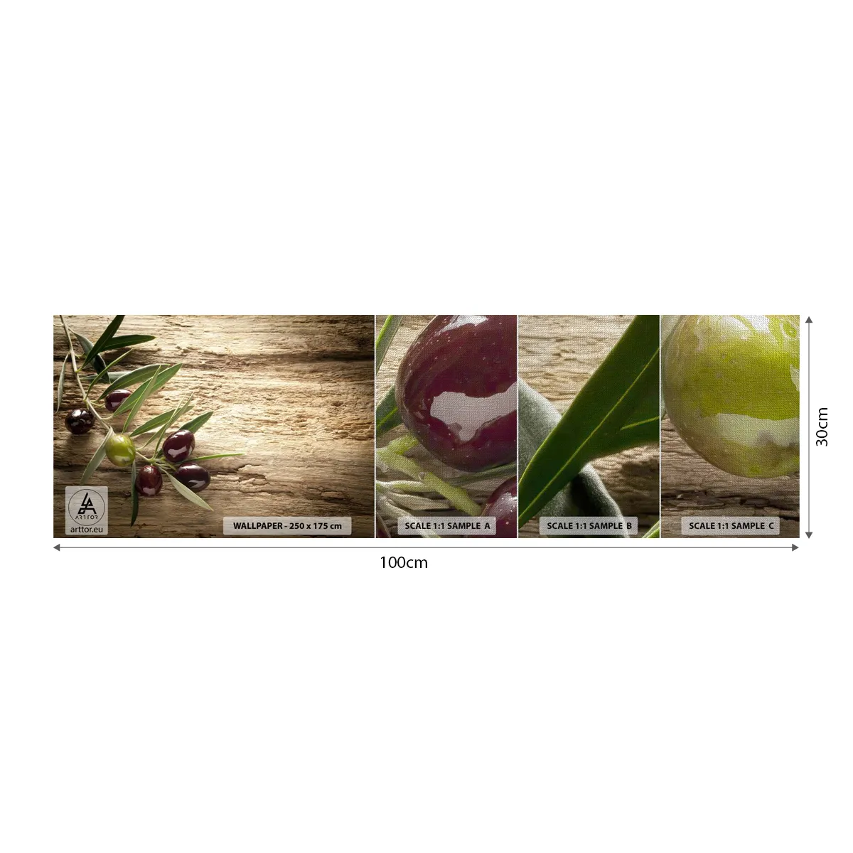 Vzor Fototapety Premium Canvas - Přímo od přírody - Olivová ratolest, Příroda, Olivy - 100x30 cm