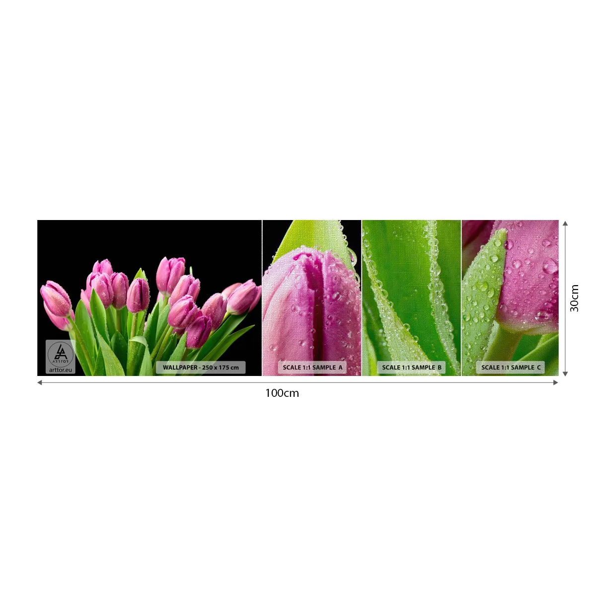 Fotobehang Monster Premium Canvas - Lila vreugde van de lente - Bloemen, Tulpen, Boeket bloemen - 100x30 cm