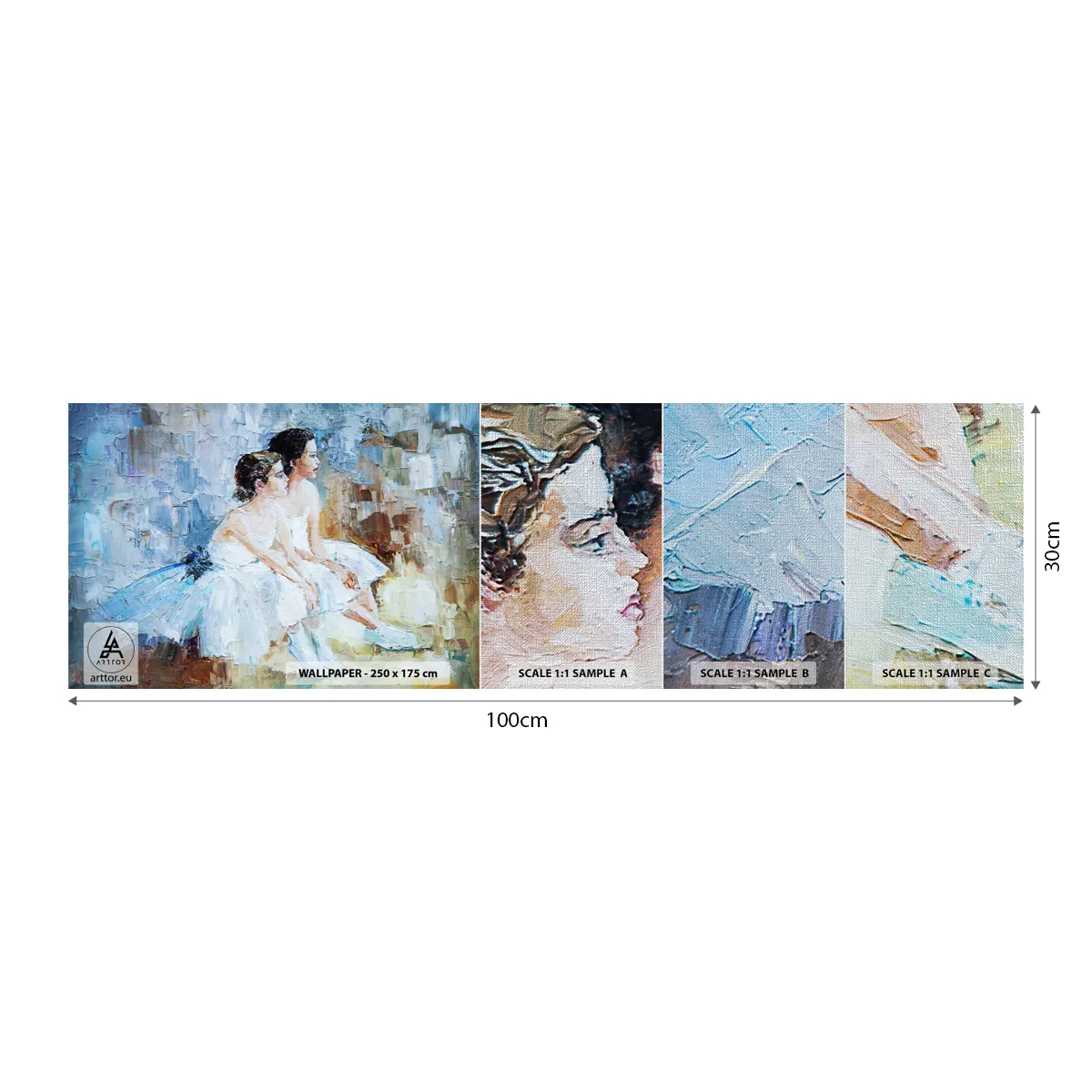 Vzor Fototapety Premium Canvas - Odpočinek mladých labutí - Balerína, Tanec, Balet - 100x30 cm