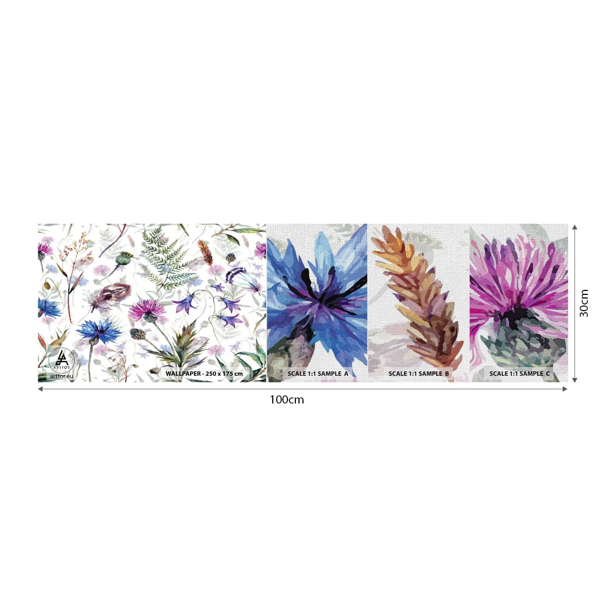 Mostră tapet Premium Canvas - Ierbarul polonez - Flori de câmp, Grădină, Natură - 100x30 cm