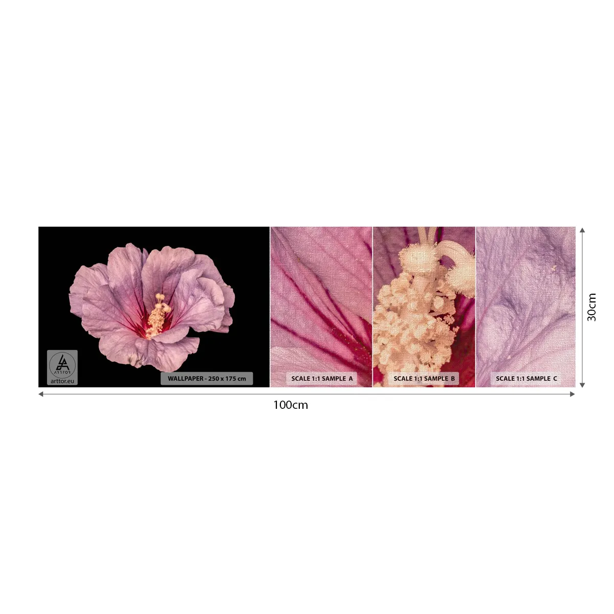 Mostră tapet Premium Canvas - Direct la inimă - Floare, Bucată, Grafică - 100x30 cm