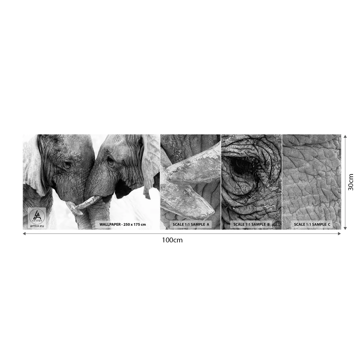 Photo Wallpaper Sample Premium Canvas - Hearty Confession - Elephant, Animals, Africa - 100x30 cm