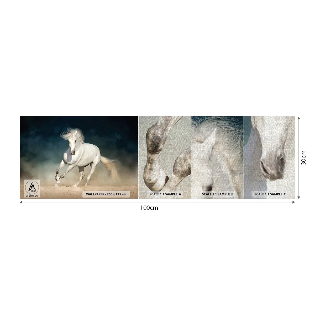 Photo Wallpaper Sample Premium Canvas - Freedom in a Pure State - Horse, Animal, White - 100x30 cm