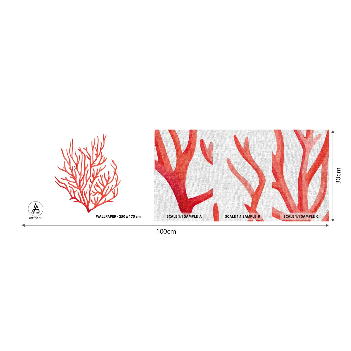 Fototapeten Muster Premium Canvas - Korallenfiligran - Korallenriff, Strand, Minimalistisch - 100x30 cm