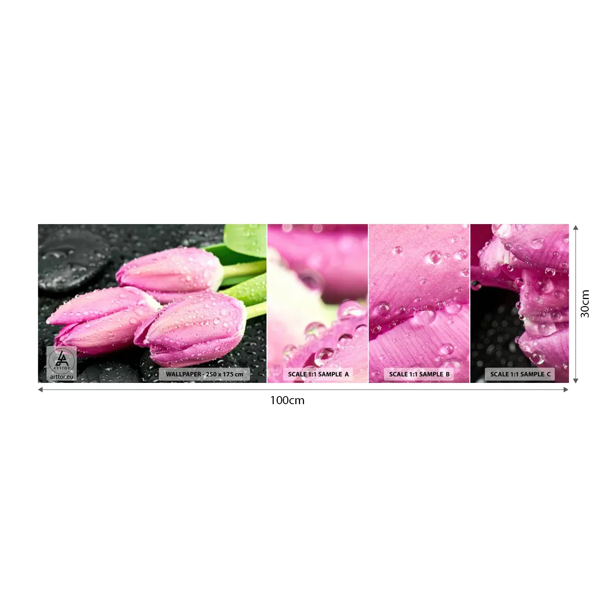 Fototapeta Próbka Samoprzylepna Deluxe Sticker - Liliowa trójka na czarnym kamieniu - Kwiaty, Tulipany, Bukiet Kwiatów - 100x30 cm