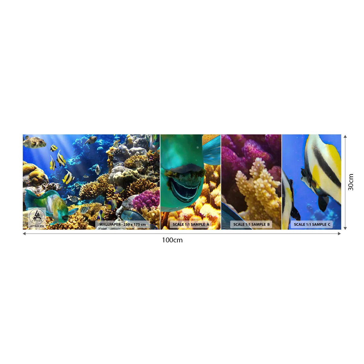 Mostră tapet autocolant Deluxe Sticker - Trafic intens pe traseul de vacanță - recif de corali, Ocean, Peşte - 100x30 cm