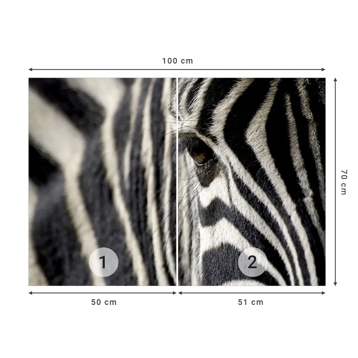 Papier Peint Autocollant Deluxe Sticker - Portrait en rayure - Animaux, Côtes, Afrique - 100x70 cm