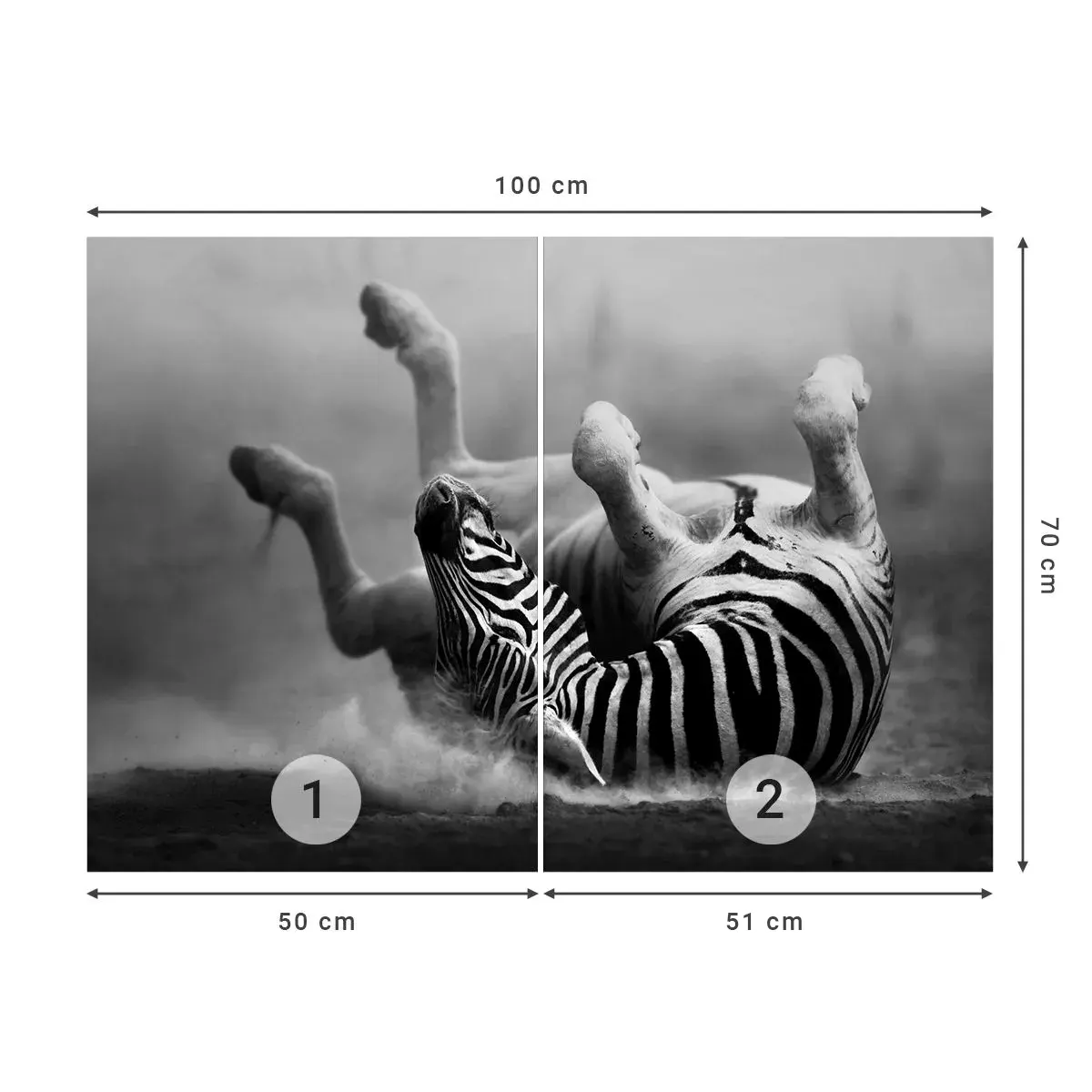 Selbstklebende Fototapete Deluxe Sticker - Nicht nur das Pferd würde lachen - Tiere, Rippen, Natur - 100x70 cm