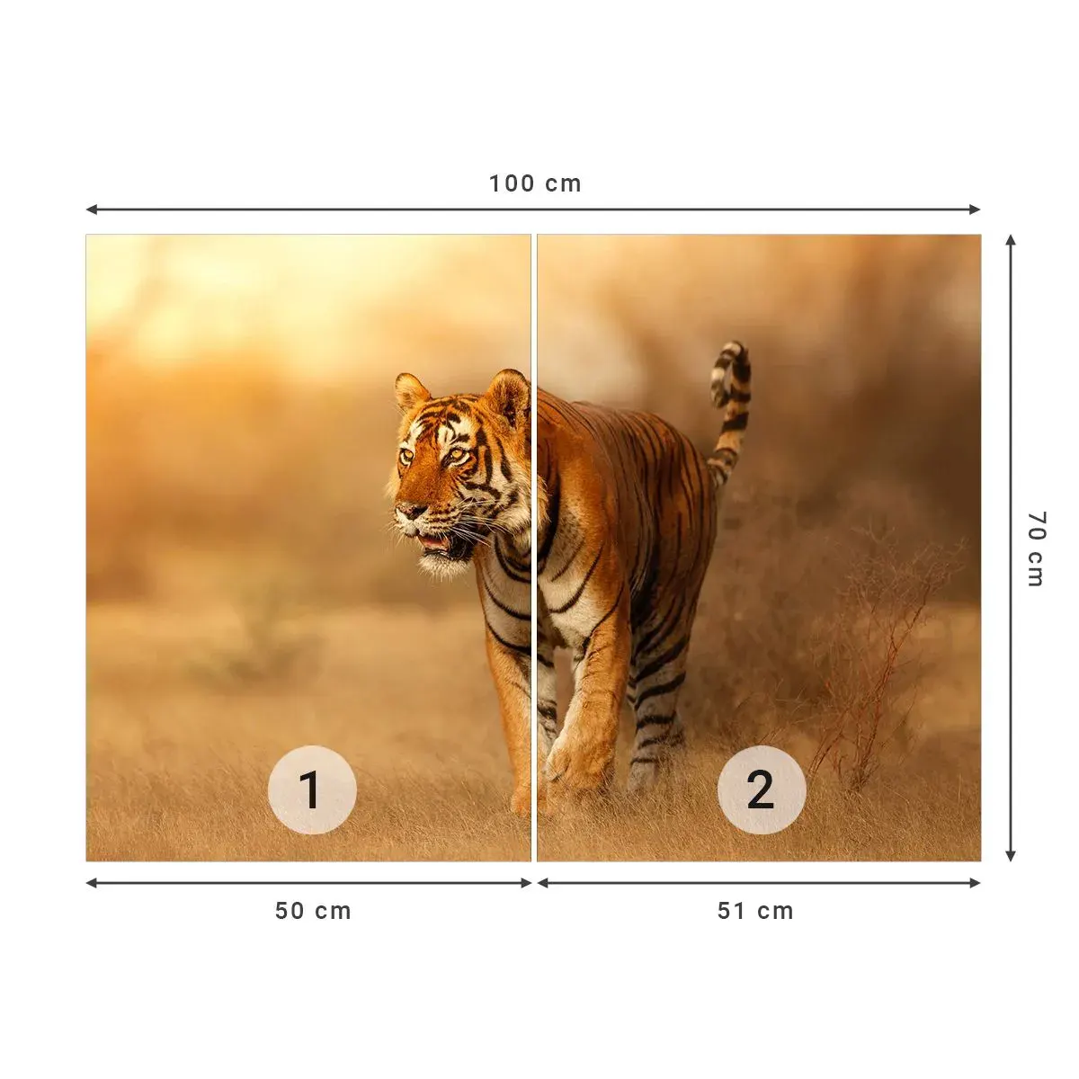 Fototapeta Samoprzylepna Deluxe Sticker - Przed atakiem - Zwierzęta, Tygrys, Afryka - 100x70 cm