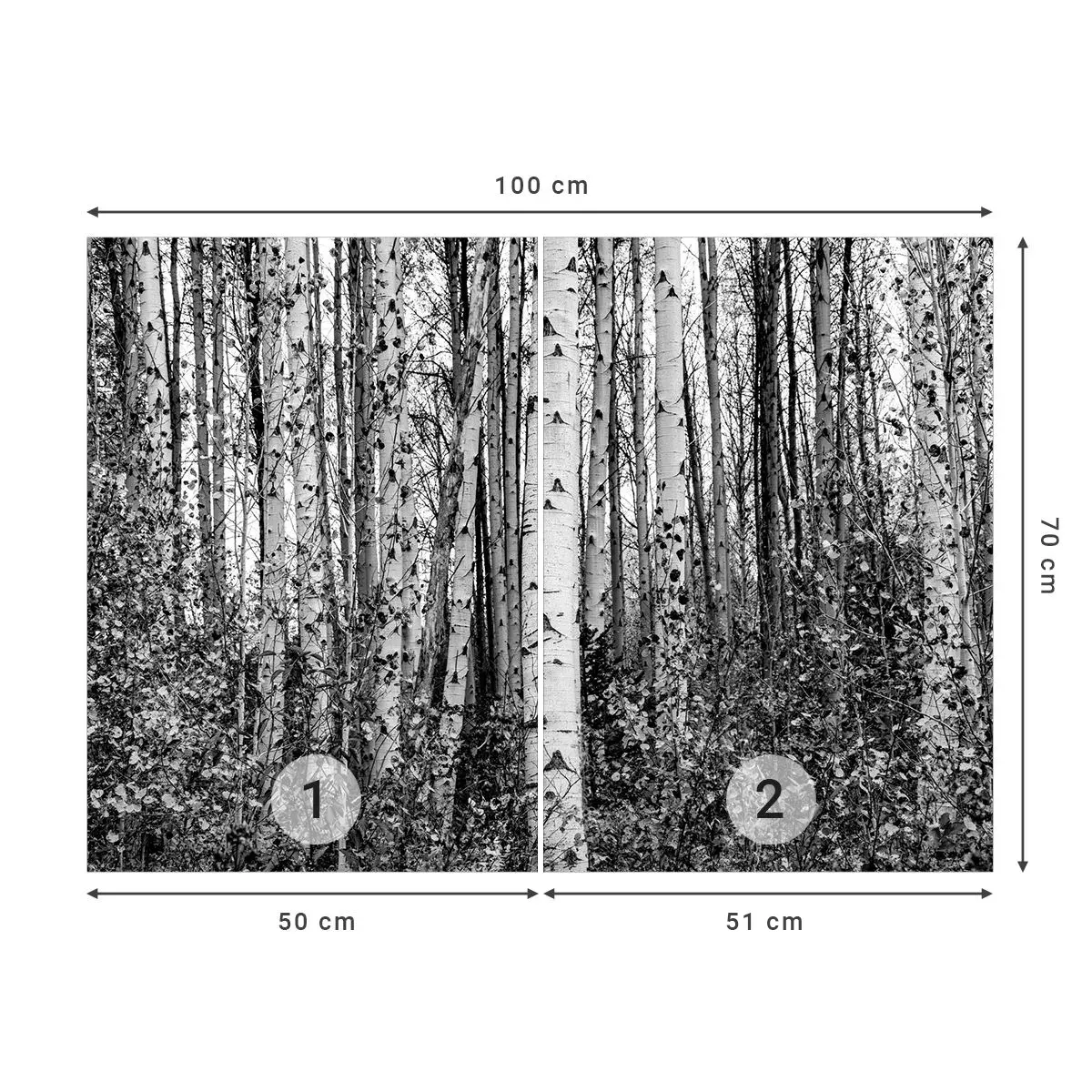 Tapet Autoadeziv Deluxe Sticker - Coloane de mesteacăn - pădure, mesteacăn, Natură - 100x70 cm