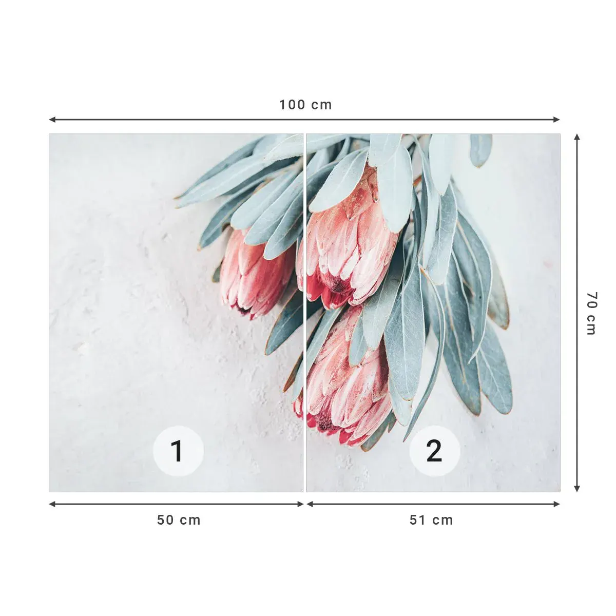 Selbstklebende Fototapete Deluxe Sticker - Schämen sich für ihre eigene Schönheit - Blume, Königliche Protea, Afrika - 100x70 cm