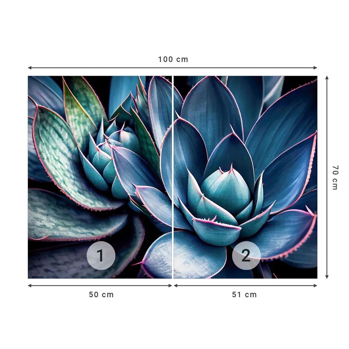 Samolepiaca Fototapeta Deluxe Sticker - Vitálna sila - Kvety, Botanika, Sukulenty - 100x70 cm