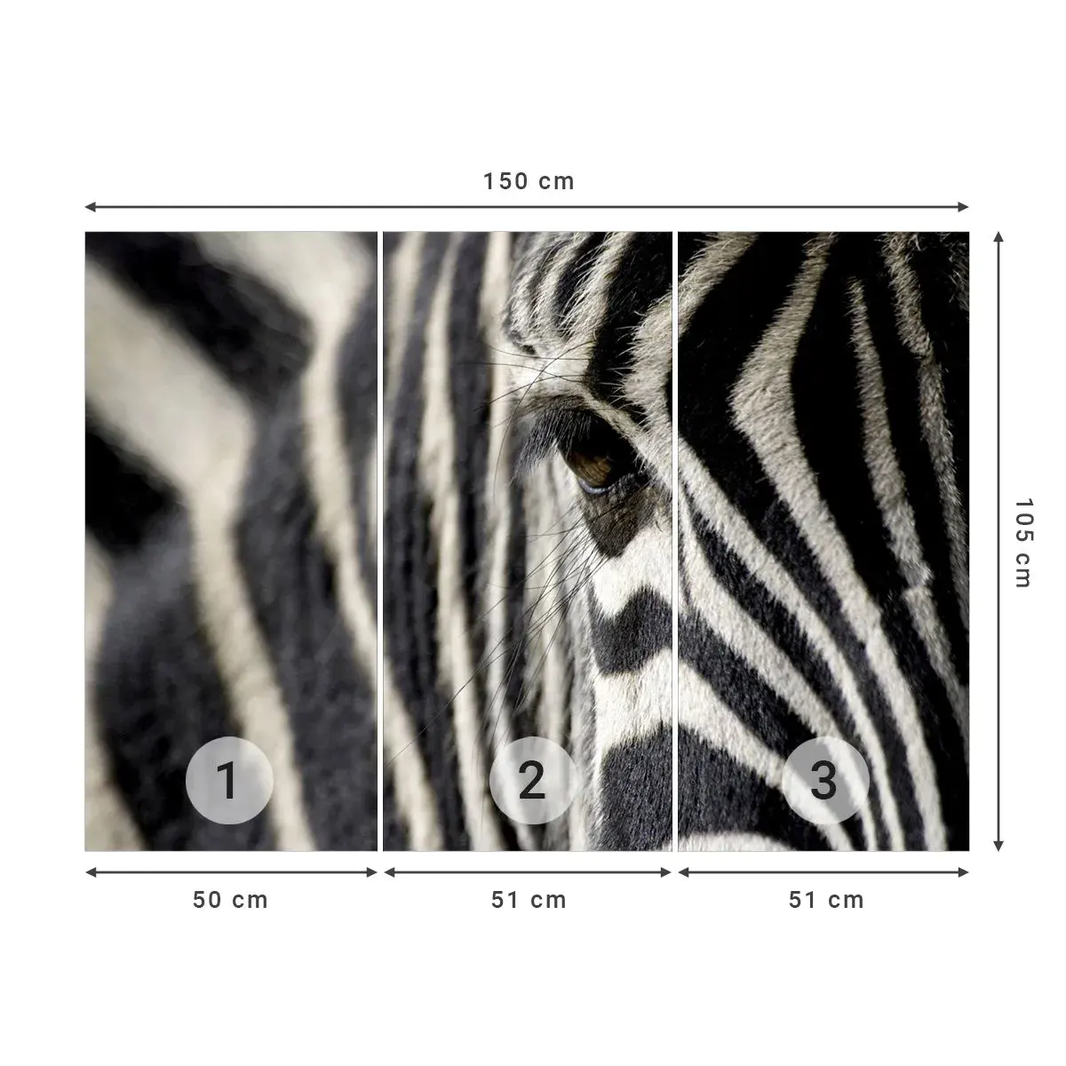 Papier Peint Autocollant Deluxe Sticker - Portrait en rayure - Animaux, Côtes, Afrique - 150x105 cm