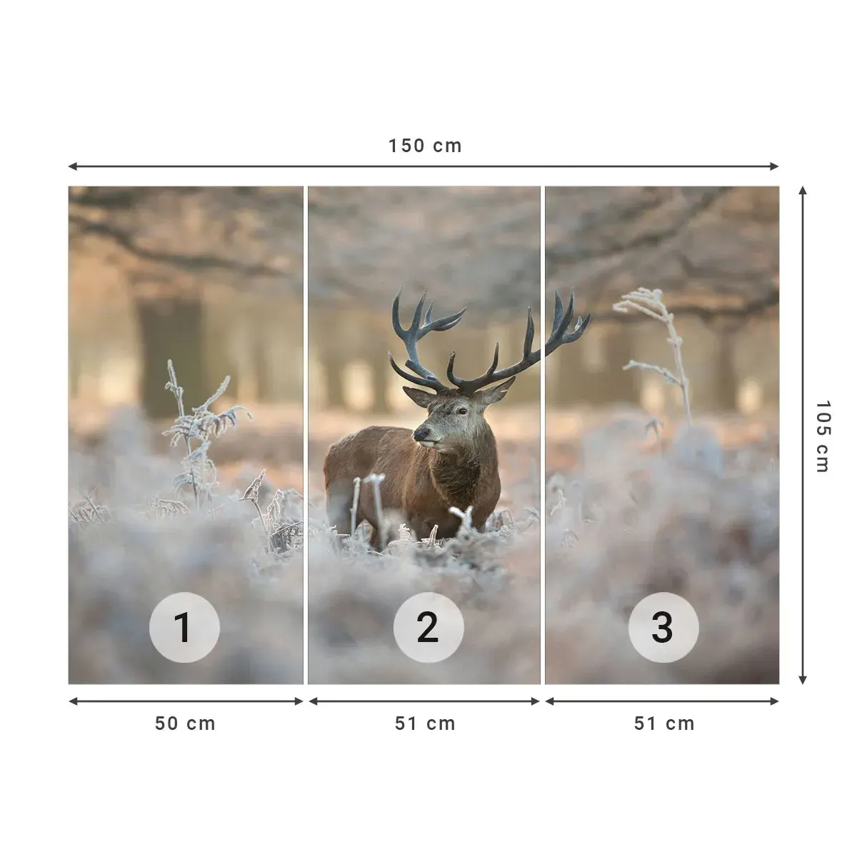 Selbstklebende Fototapete Deluxe Sticker - Ein flotter Morgen - Landschaft, Reh, Tiere - 150x105 cm