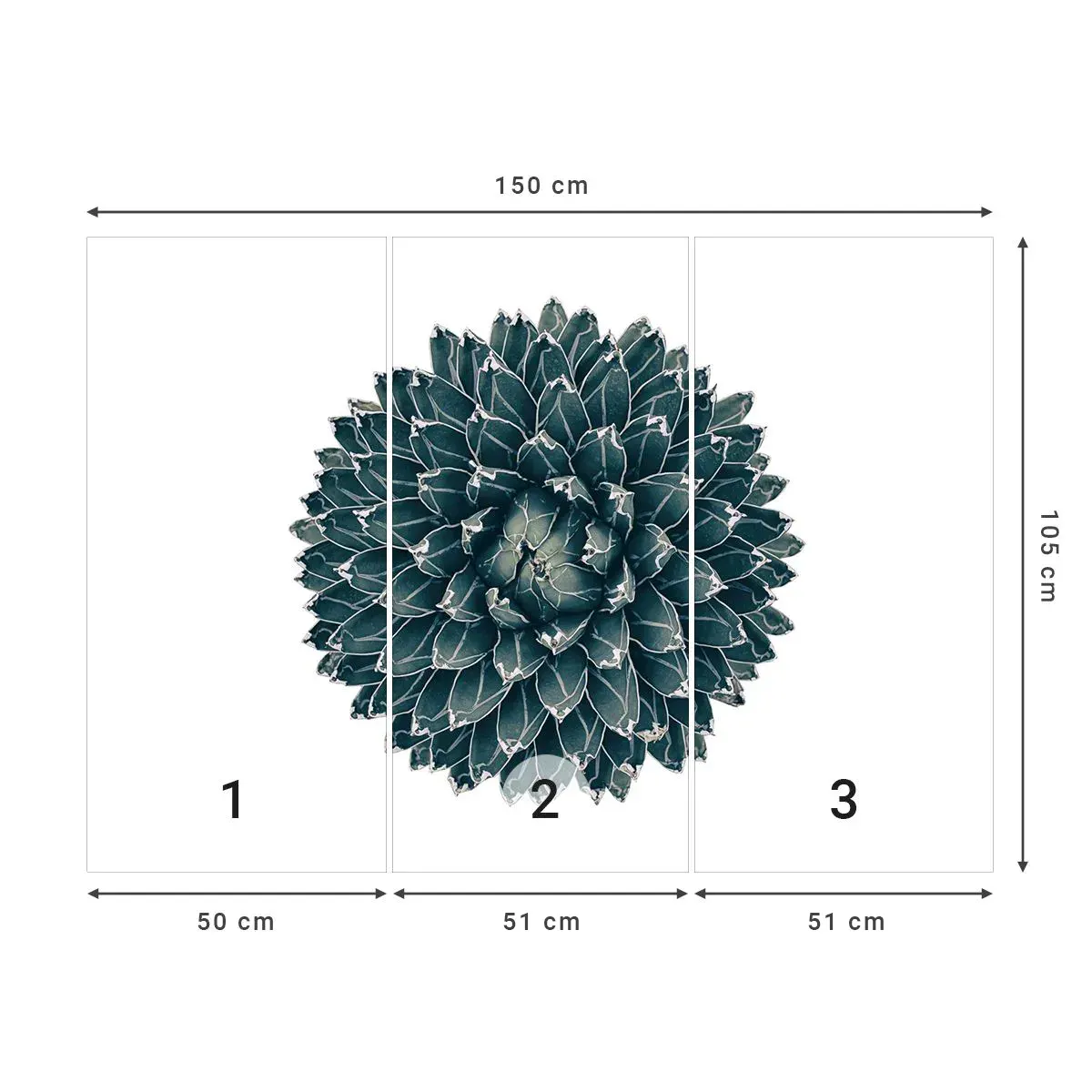 Fototapeta Samolepicí Deluxe Sticker - Hvězda pouště - Kaktus, Agáve, Grafika - 150x105 cm