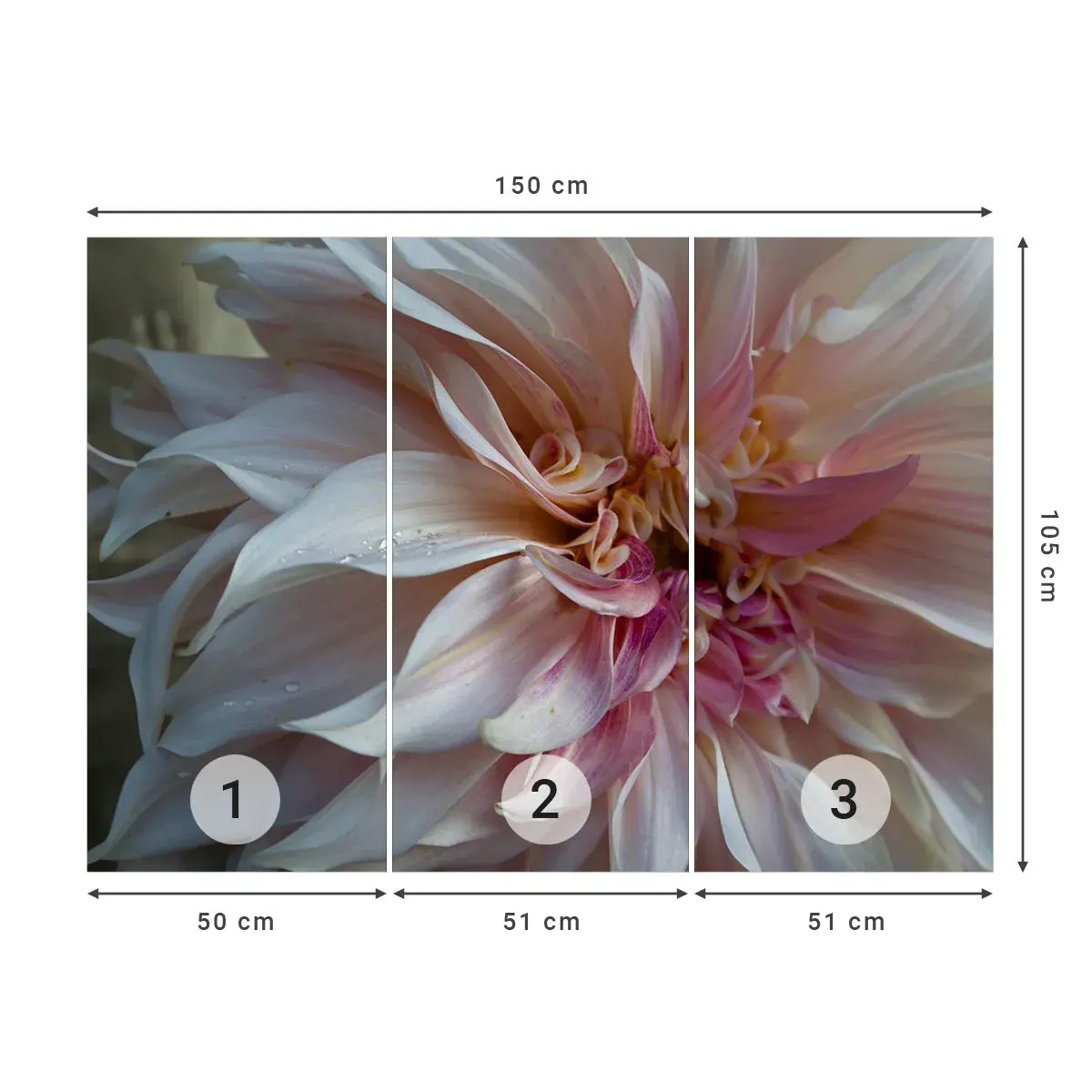 Selbstklebende Fototapete Deluxe Sticker - Blühende Frische - Blume, Dahlie, Anlage - 150x105 cm