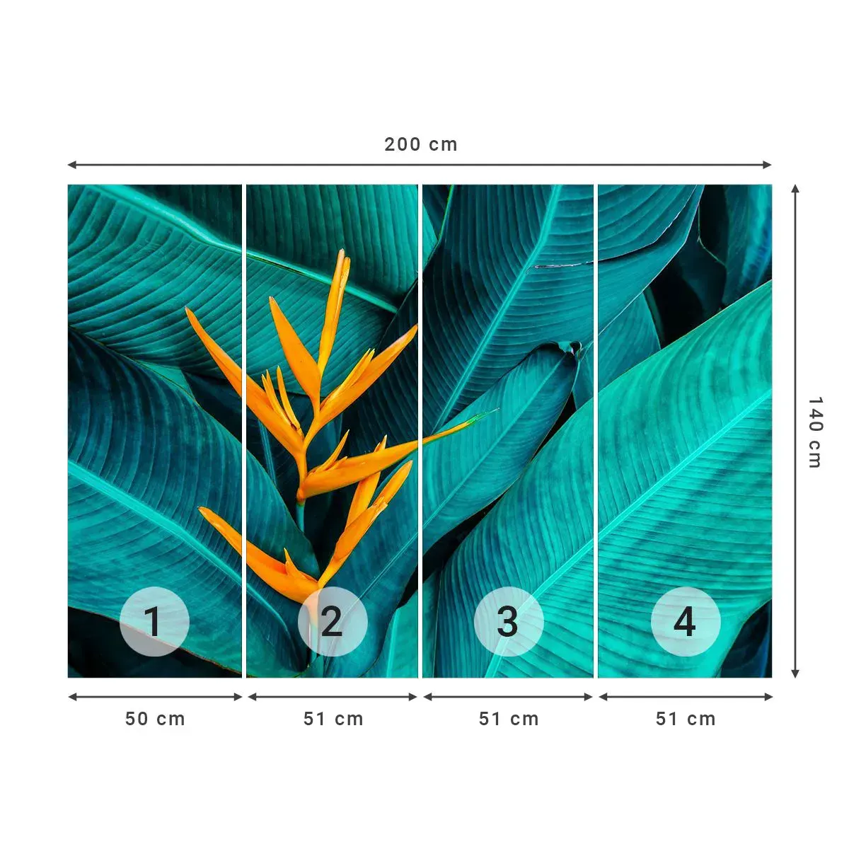 Fotomurali Autoadesivo Deluxe Sticker - Il fiore dell'Eden - Strelitzia Reale, Fiore, Africa - 200x140 cm