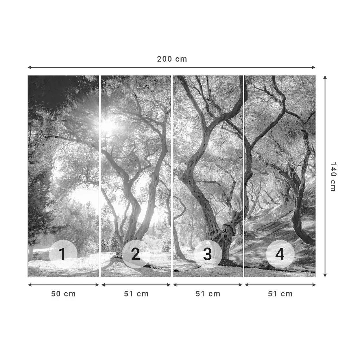 Zelfklevend Fotobehang Deluxe Sticker - In de olijfboomgaard - Woud, Winter, Bomen - 200x140 cm