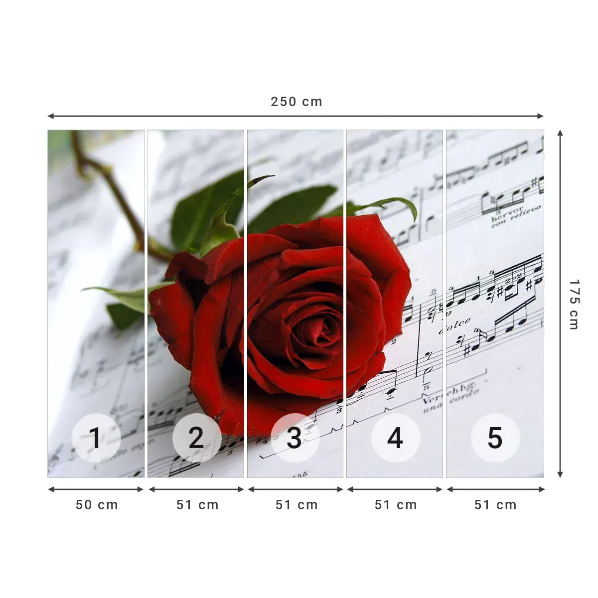 Selbstklebende Fototapete Deluxe Sticker - Musik der Gefühle in Scharlach - Blumen, Rose, Musik - 250x175 cm