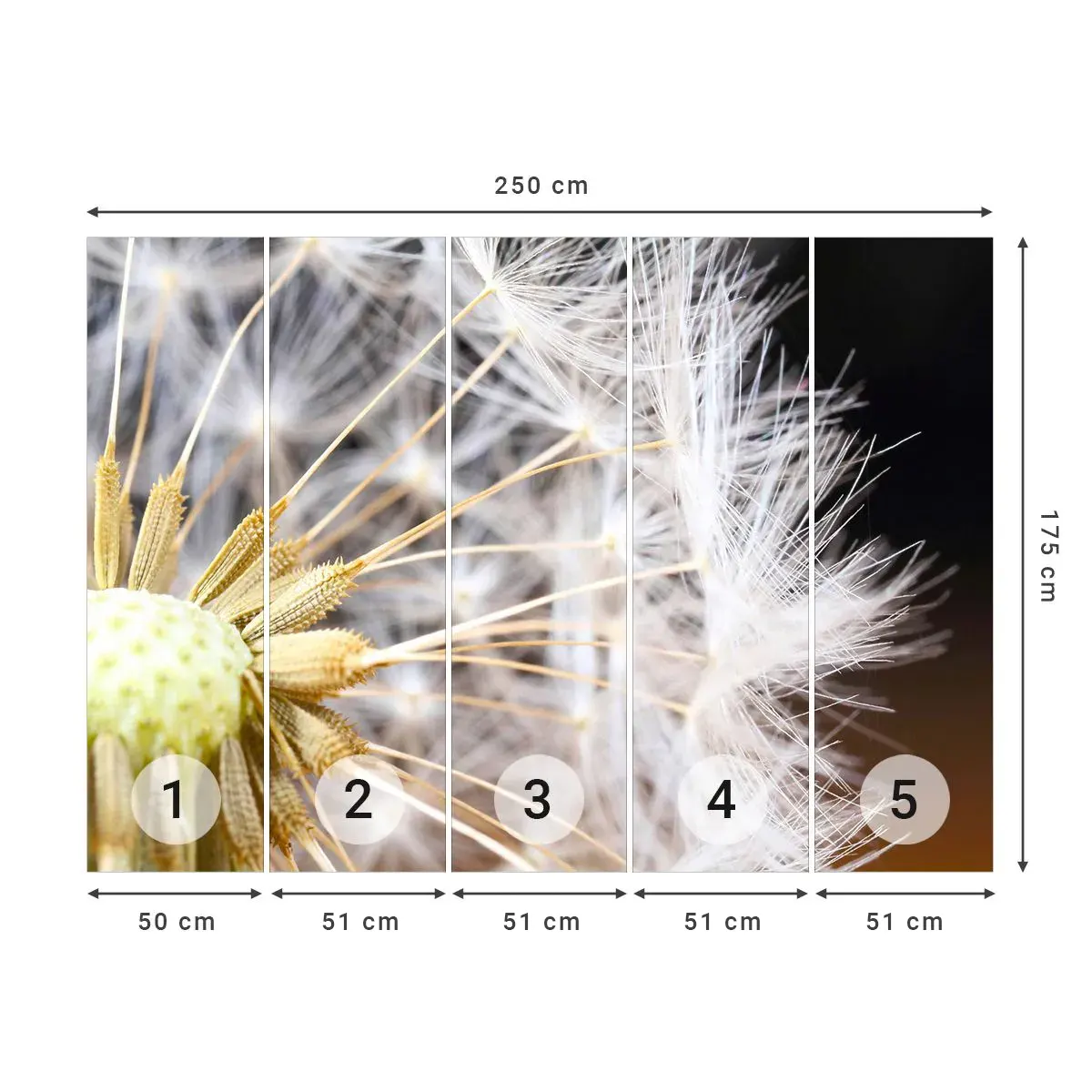 Tapet Autoadeziv Deluxe Sticker - Chiar înainte de zbor... - Floare, Plantă, Natură - 250x175 cm