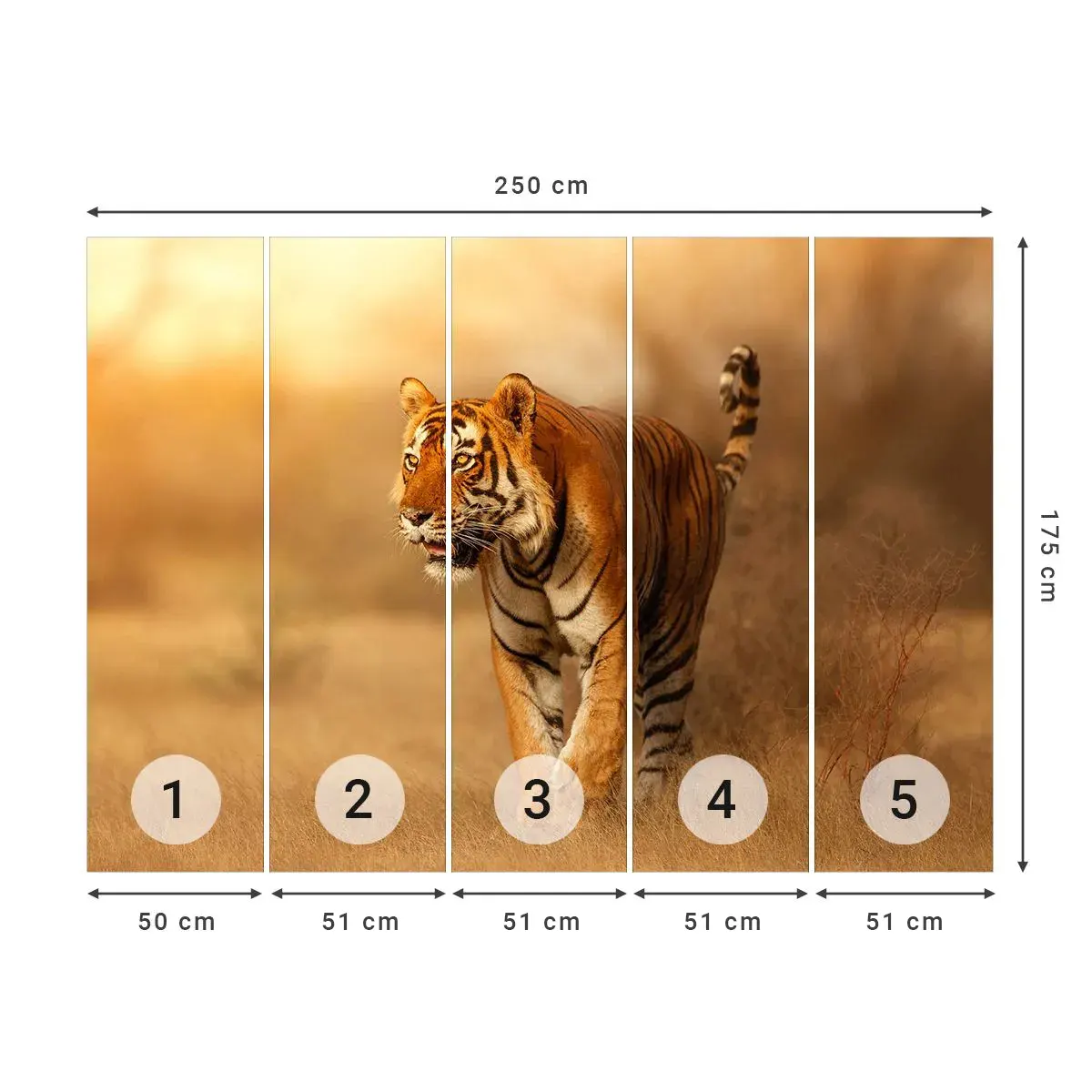 Papier Peint Autocollant Deluxe Sticker - Avant l'attaque - Animaux, Tigre, Afrique - 250x175 cm