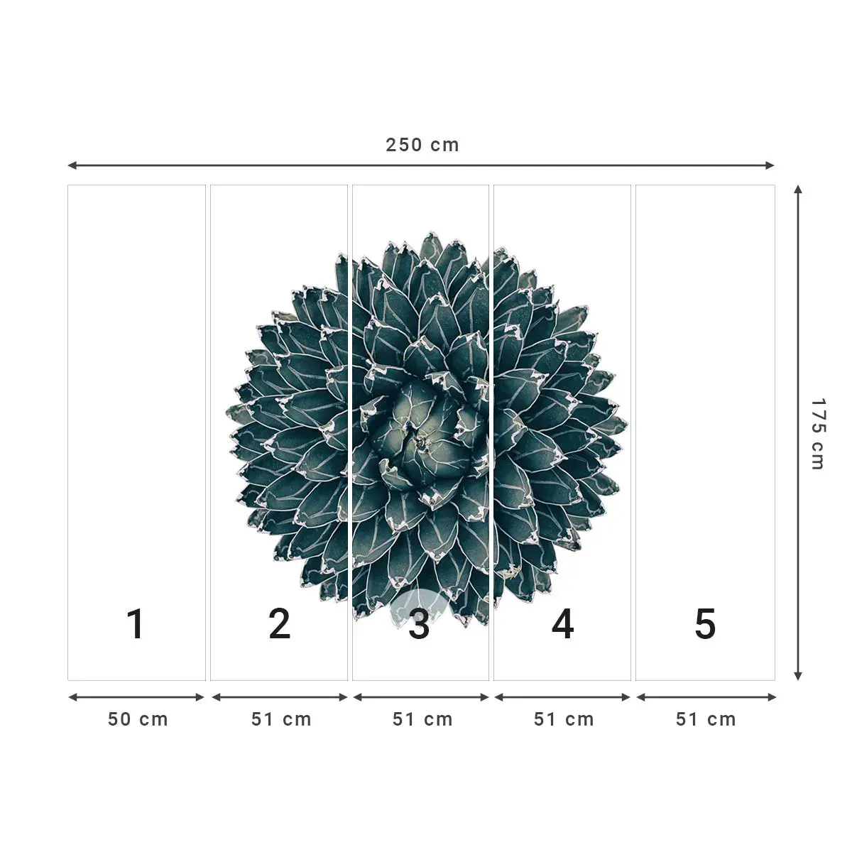Selbstklebende Fototapete Deluxe Sticker - Stern der Wüste - Kaktus, Agave, Grafik - 250x175 cm