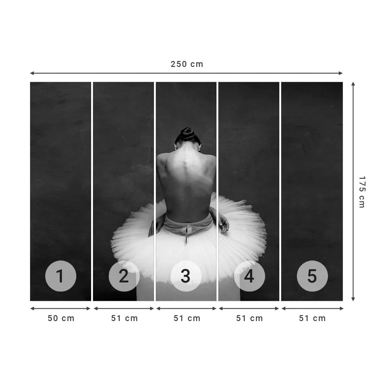 Tapet Autoadeziv Deluxe Sticker - Chiar înflorește - Balerină, Dans, Balet - 250x175 cm