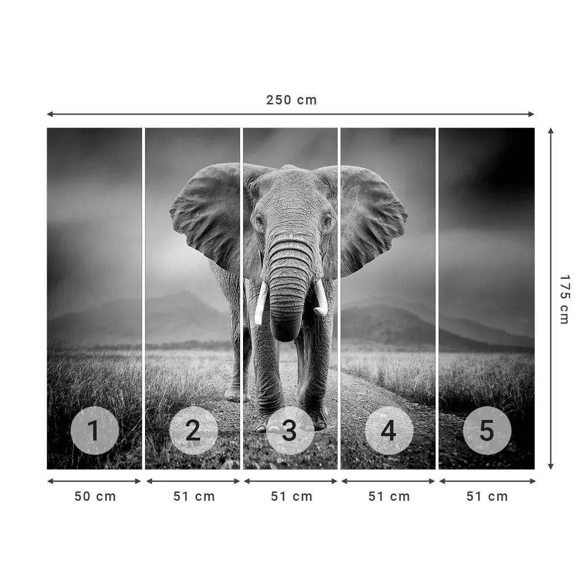 Self-Adhesive Photo Wallpaper Deluxe Sticker - Welcoming of the Host - Elephant, Animals, Landscape - 250x175 cm