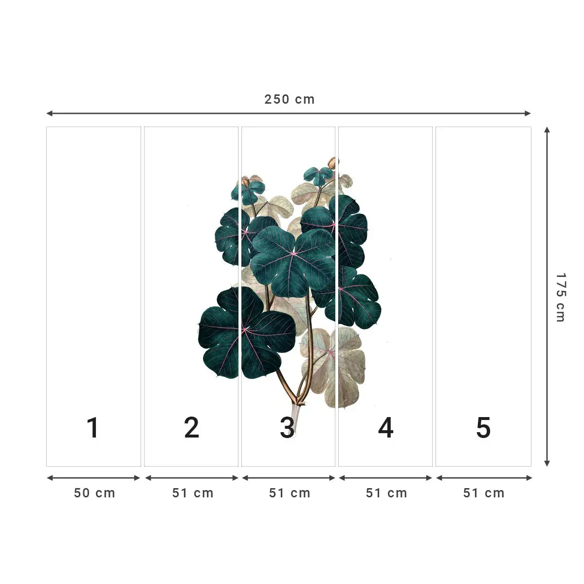 Selbstklebende Fototapete Deluxe Sticker - Aus dem alten Herbarium - Anlage, Blätter, Botanik - 250x175 cm