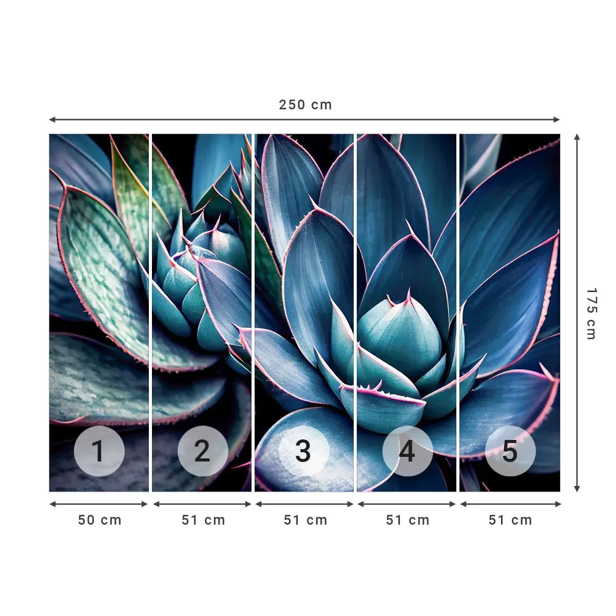 Fototapeta Samolepicí Deluxe Sticker - Vitální síla - Květiny, Botanika, Sukulenty - 250x175 cm