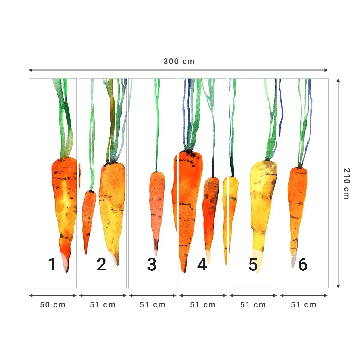 Self-Adhesive Photo Wallpaper Deluxe Sticker - Beauty of Common Carrot - Gastronomy, Carrot, Graphics - 300x210 cm