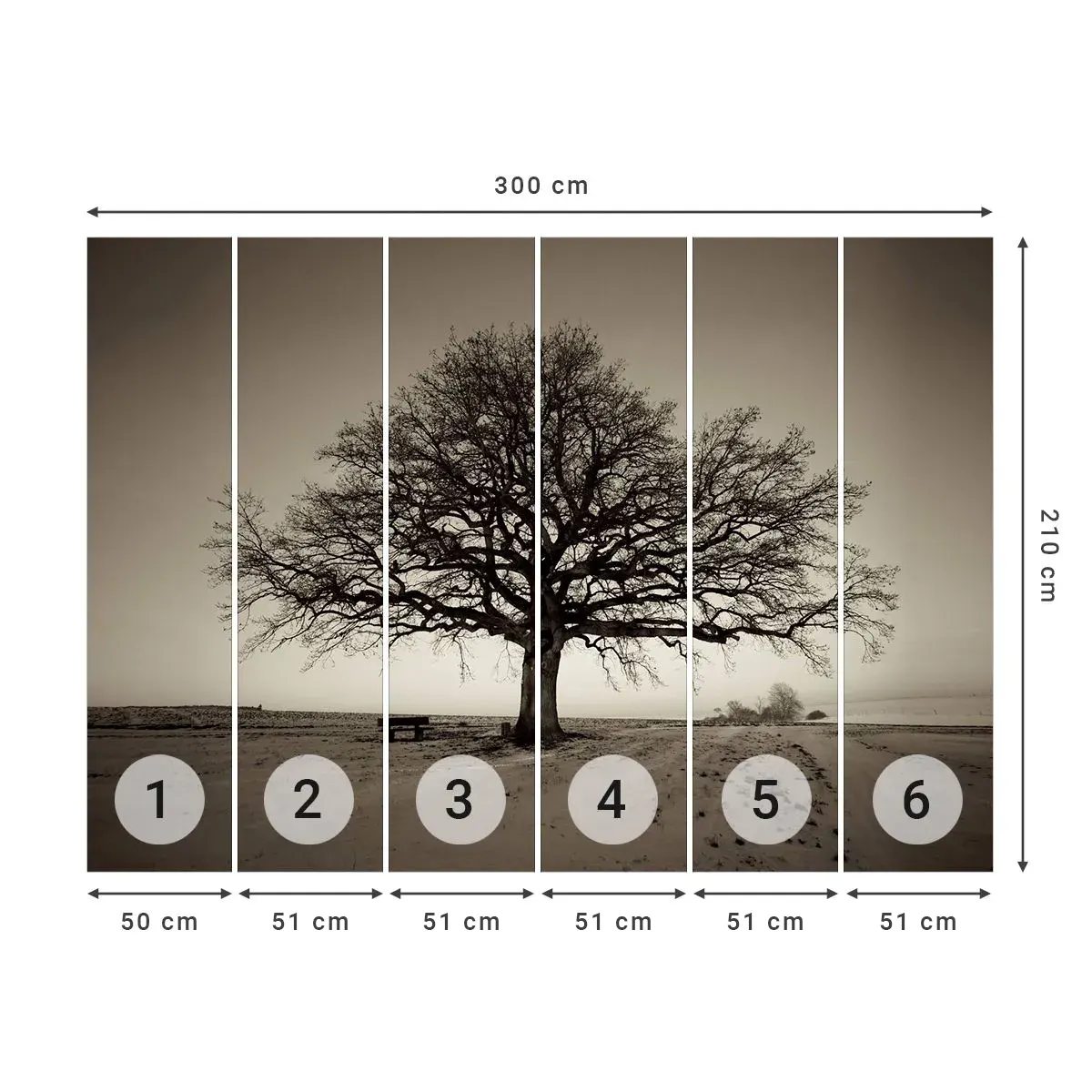Fotomurali Autoadesivo Deluxe Sticker - Da qui all'eternità - Paesaggio, Albero, Natura - 300x210 cm