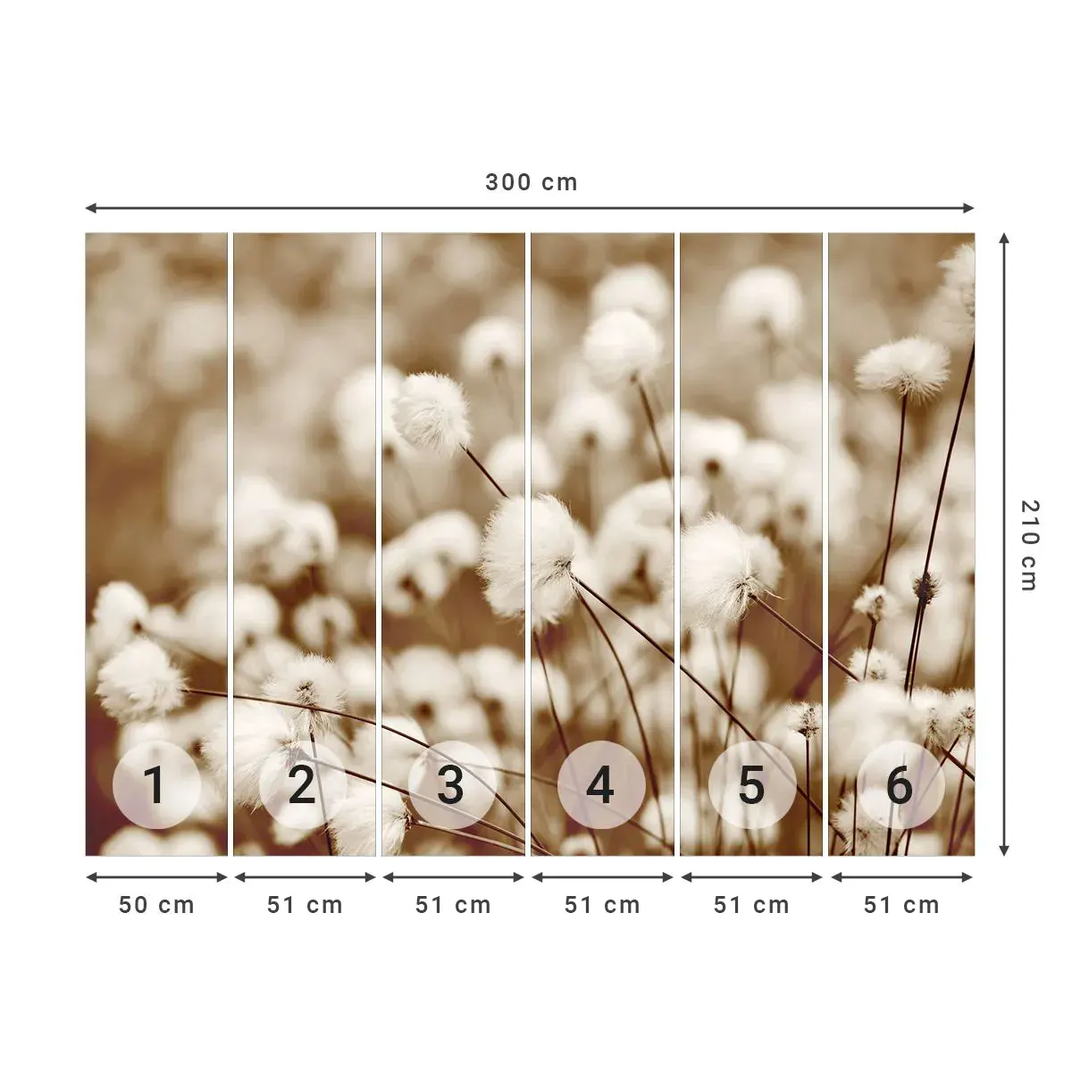 Papier Peint Autocollant Deluxe Sticker - Tige moelleuse - Fleur de coton, Fleur, Brindille de coton - 300x210 cm