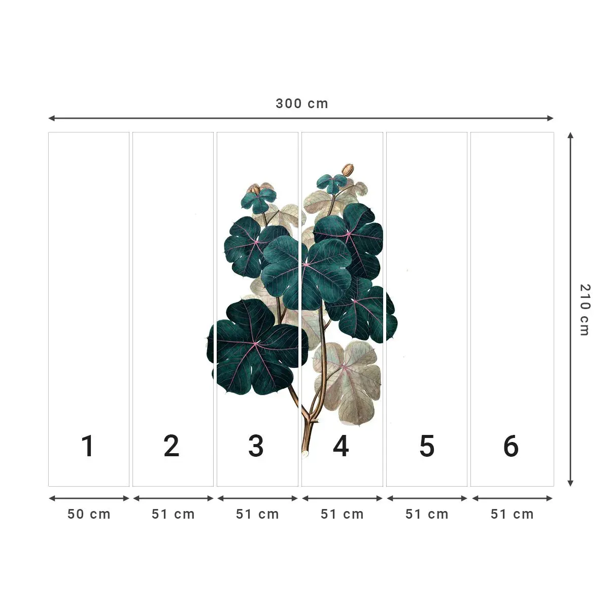 Selbstklebende Fototapete Deluxe Sticker - Aus dem alten Herbarium - Anlage, Blätter, Botanik - 300x210 cm