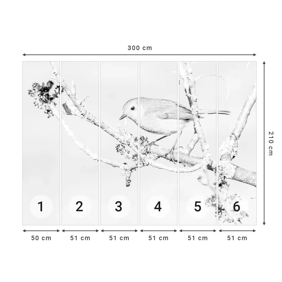 Selbstklebende Fototapete Deluxe Sticker - Wintermorgen - Hell, Vogel, Natur - 300x210 cm