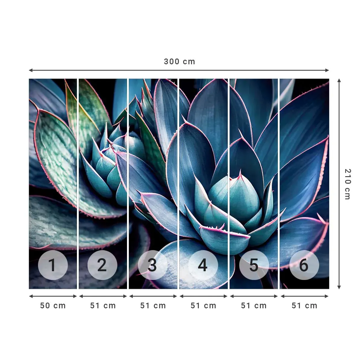 Självhäftande Fototapet Deluxe Sticker - Vital kraft - Blommor, Botanik, Suckulenter - 300x210 cm